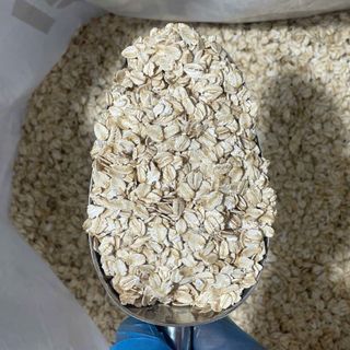 Yến mạch Chile Cán Dẹt