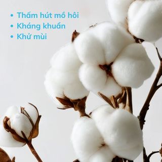 TẤT DỆT KIM CỔ TRUNG LƯỚI THOÁNG KHÍ, THIẾT KẾ 3D TẤT THỂ THAO DỆT KIM EXSPORT