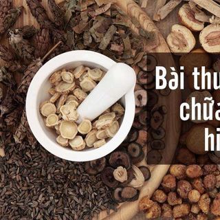 Thuốc đặc trị sỏi thận từ thảo dược