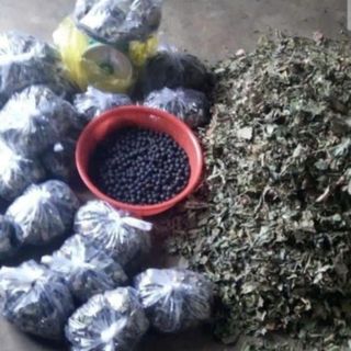 Thuốc đặc trị sỏi thận từ thảo dược