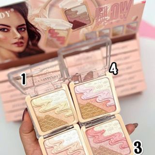 Phấn má hồng ,Phấn mắt , Highlight 4in1 AnyLady Glow Fleur