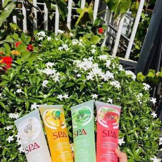 TẨY TẾ BÀO DA CHẾT SPA TRÁI CÂy