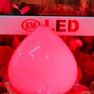Đèn led đào KM 1204