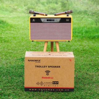 Loa Karaoke Xách Tay Nanomax PS-20A Bass Đôi 20cm 780w