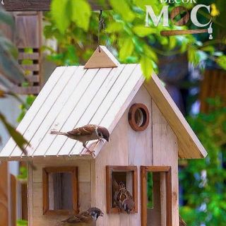 Tổ Chim To Gỗ Tự Nhiên - NHẬN SỈ, NHẬN THIẾT KẾ RIÊNG