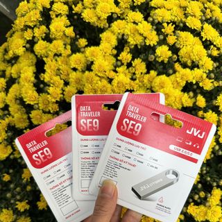 USB JVJ SE9 8GB