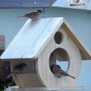 Tổ Chim To Gỗ Tự Nhiên - NHẬN SỈ, NHẬN THIẾT KẾ RIÊNG