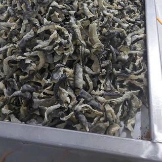 Dạy làm DA CÁ TRỨNG MUỐI SINGAPO