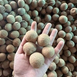 Nhãn Sấy Khô (Thùng 20kg)
