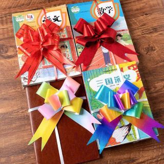 TÚI 10 NƠ RÚT  SIZE 30 - 3F