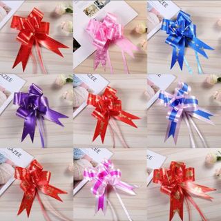 TÚI 10 NƠ RÚT  SIZE 30 - 3F