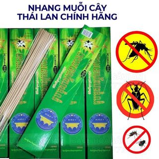 Nhang muỗi cây Thái Lan HỘP 30 NHANG ĐUỔI MUỖI THÁI LAN