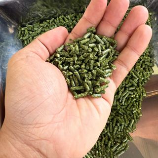 Cỏ viên Alfalfa cho gà đá