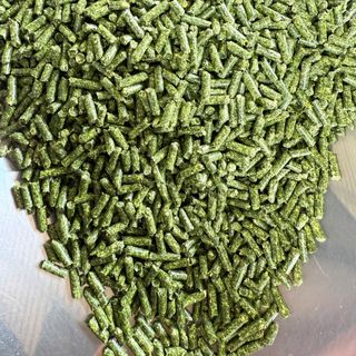 Cỏ viên Alfalfa cho gà đá
