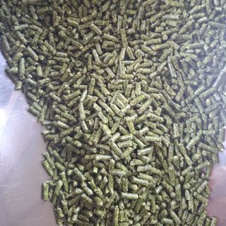 Cỏ viên Alfalfa cho gà đá