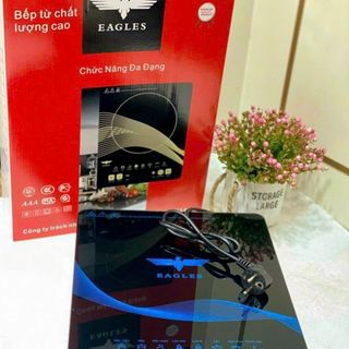 Bếp điện từ EAGLES, Bếp từ EAGLES