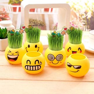 Chậu cây để bàn Emoji mặt cảm xúc siêu dễ thương