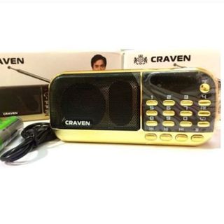 LOA NGHE ĐÀI 2 PIN USB CRAVEN CR836S