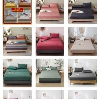 Bộ Chăn Ga Cotton Tici Nhập Khẩu Cao Cấp Mềm Mại Êm Ái Dành Cho Homestay, Khách Sạn, Căn Hộ Dịch Vụ - Set Ko Chăn