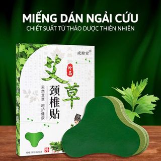 HỘP 12 MIẾNG DÁN VAI GÁY