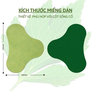 HỘP 12 MIẾNG DÁN VAI GÁY
