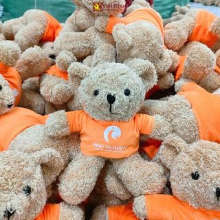 Gấu Teddy In Thêu Logo
