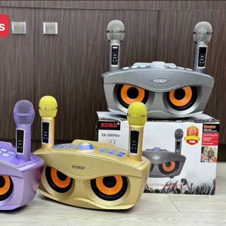 LOA KÈM MICRO HÁT KARAOKE SD306 PLUS