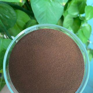 Inactive Yeast AC01 - Nấm men saccharomyces giàu hàm lượng protein &gt; 32%