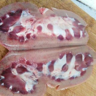 Gân cật heo tươi cấp đông 500g