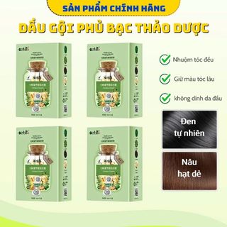 Hộp 10 Gói Dầu Gội Nhuộm Tóc Thảo Dược Qiweitang Wveb Ledye Dazzle Colour 30ml