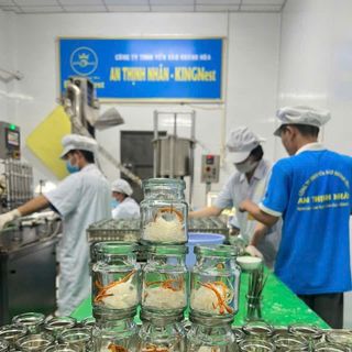 Combo 5 hũ Yến sào trẻ e 39% yến