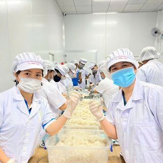 Combo 5 hũ Yến sào trẻ e 39% yến