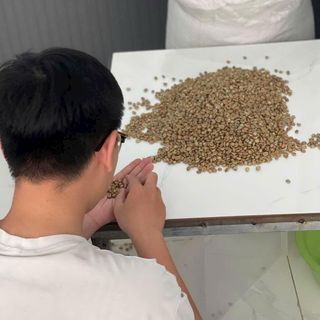Cà phê rang say Robusta honey