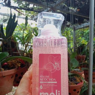sữa tắm meli Hoàng Hường