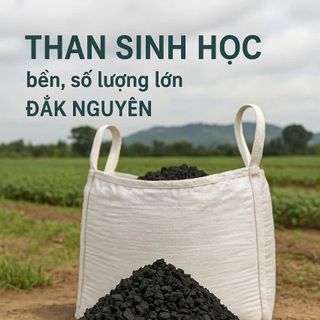 THAN SINH HỌC NGUỒN GỐC RÕ RÀNG – TÁC DỤNG VƯỢT TRỘI