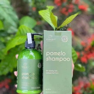 DẦU GỘI BƯỞI VIjULLY Ngăn Rụng Tóc Hiệu Quả - 280ML