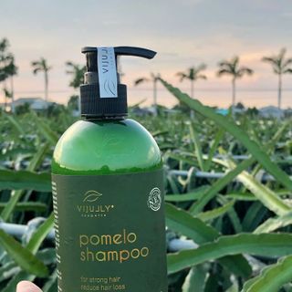 DẦU GỘI BƯỞI VIjULLY Ngăn Rụng Tóc Hiệu Quả - 280ML