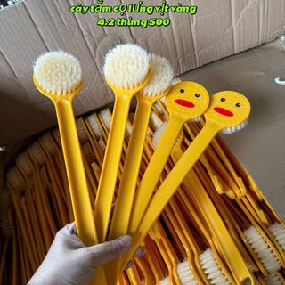 Cây Cọ Lưng Vịt Vàng