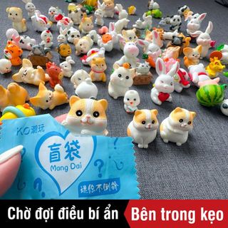 COMBO 5 VIÊN ĐỒ CHƠI BÓC KẸO BÍ MẬT 57282 - LADY'S PASSION
