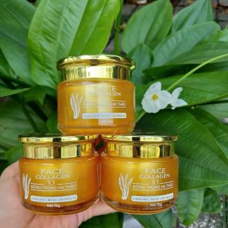 Kem face ngày collagen x3 đông anh - kem face đông trùng hạ thảo