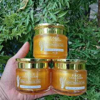 Kem face ngày collagen x3 đông anh - kem face đông trùng hạ thảo