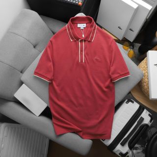 Polo nam. Chất cotton gai du xin  vừa vặn