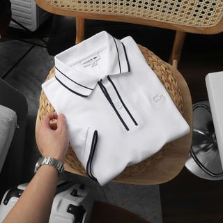 Polo nam. Chất cotton gai du xin  vừa vặn