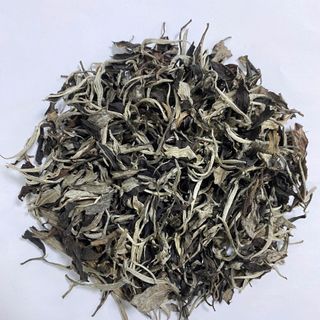 BẠCH TRÀ MẪU ĐƠN (1 tôm 1 lá) 2025
