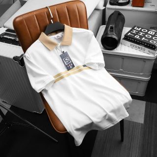 ÁO THUN CỔ BẺ FORM BODY SRB13 LINE CHẤT CÁ SẤU LẠNH P336 - LADY'S PASSION