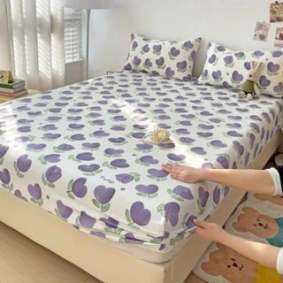 bộ ga dũi 3 món