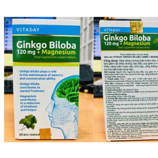 VITADAY GINKGO BILOBA