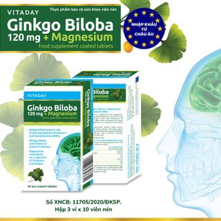 VITADAY GINKGO BILOBA