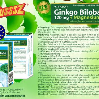 VITADAY GINKGO BILOBA
