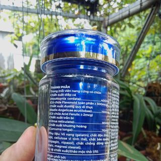 Hàng chính hãng Vương Trĩ Đan Hoàng Hường hỗ trợ trĩ, táo bón hộp 30 viên